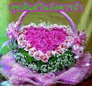 ไขข้อสงสัยภาพดอกไม้ในไลน์ แท้จริงผิด-ไม่ผิดลิขสิทธิ์..!?