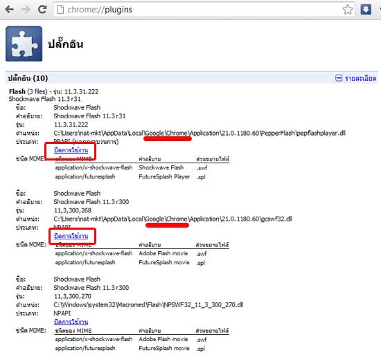 วิธีแก้ปัญหา Shockwave Flash ใน Google Chrome