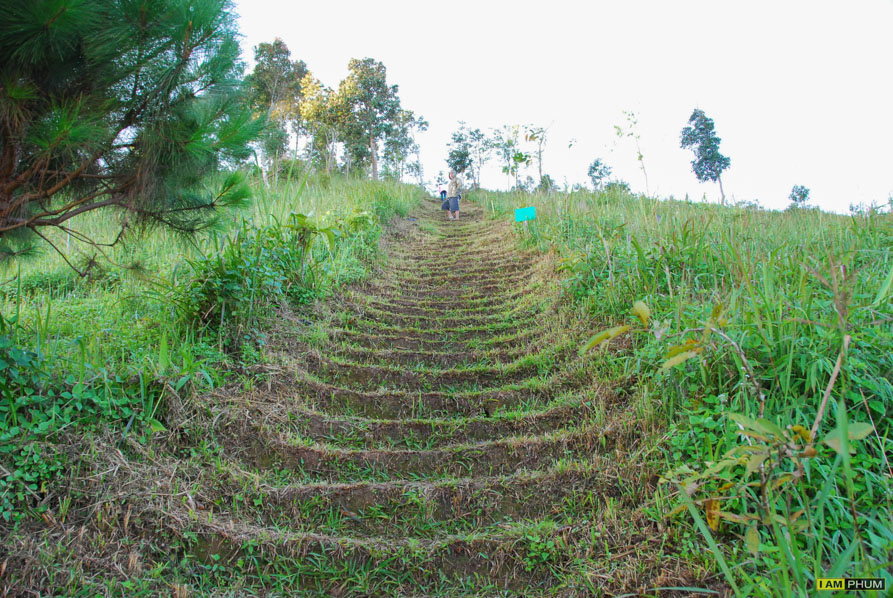 อุทยานแห่งชาติขุนสถาน จ.น่าน (8/12/56)