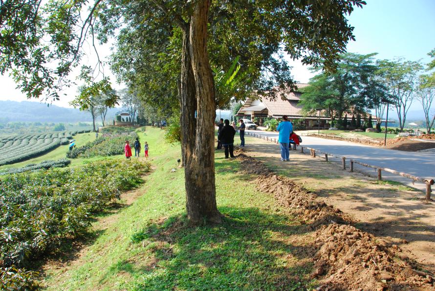 การโพสต์ภาพ แบบให้ระบบเว็บลดขนาดอัตโนมัติ (19/9/58)