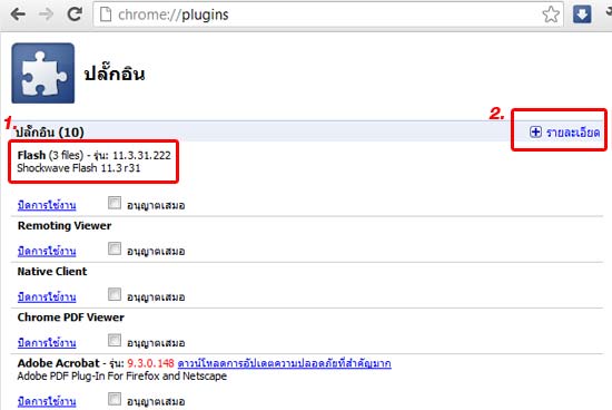 วิธีแก้ปัญหา Shockwave Flash ใน Google Chrome