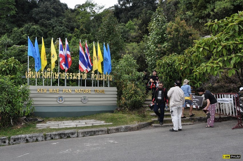 ทริปน้องบู่บู๋ ตอน: เส้นทางศึกษาธรรมชาติ กิ่วแม่ปาน