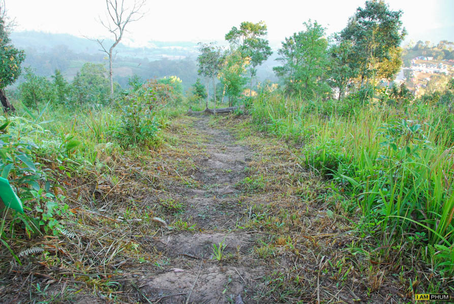 อุทยานแห่งชาติขุนสถาน จ.น่าน (8/12/56)