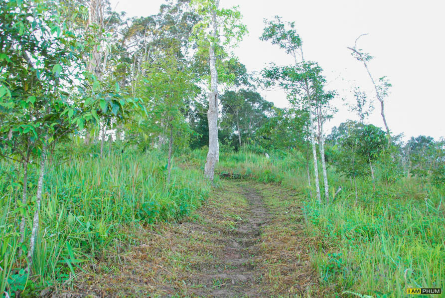 อุทยานแห่งชาติขุนสถาน จ.น่าน (8/12/56)