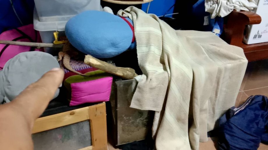 ความรักต่างสายพันธุ์ระหว่างครอบครัวผมกับเจ้า เวกัส & ออกัส กิ้งก่าทะเลทราย ที่ชาวโลกเรียก Bearded Dragon หรือ มังกรเครา