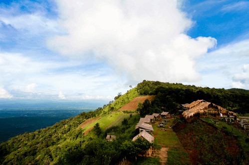 เกี่ยวกับ "มูลนิธิโครงการหลวง"