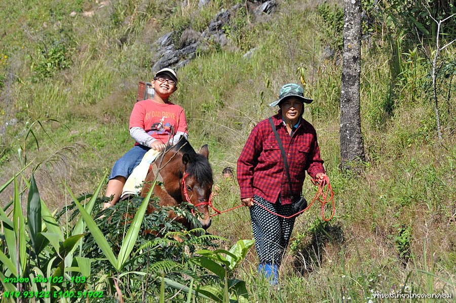 ผาบ่อง เชียงราย (6/12/56)