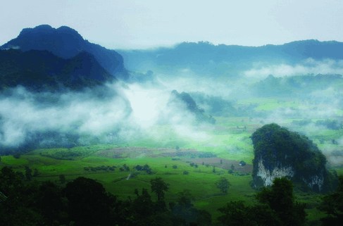 เกี่ยวกับ "มูลนิธิโครงการหลวง"