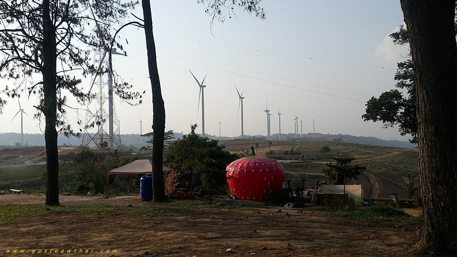 แอบแวะชมทุ่งกังหันลมเขาค้อ บ้านเพชรดำ จ.เพชรบูรณ์