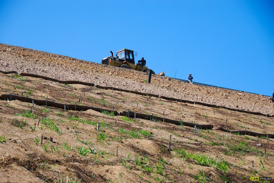 อ่างพักน้ำตอนบน โรงไฟฟ้าลำตะคองชลภาวัฒนา
