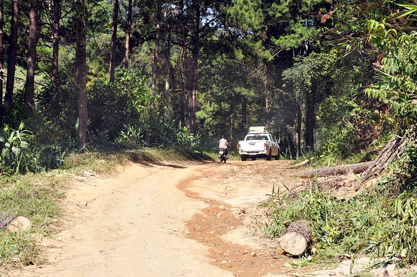 ทริปน้องบู่บู๋ ตอน: เส้นทางหลังฝน ช่วงแม่จอนหลวง-แม่นาจร