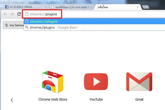 วิธีแก้ปัญหา Shockwave Flash ใน Google Chrome